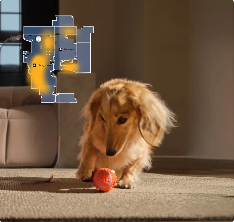 De Dreame Matrix10 Pro robotstofzuiger Zwart herkent activiteitszones van huisdieren, gerichte reiniging precies waar uw huisdier het meest verblijft.