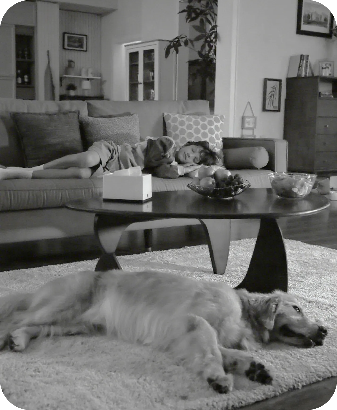 Dreame NAVO Care SE 1 InCam infrarood nachtzichtopname van hond op bank zichtbaar tot 10 meter in het donker