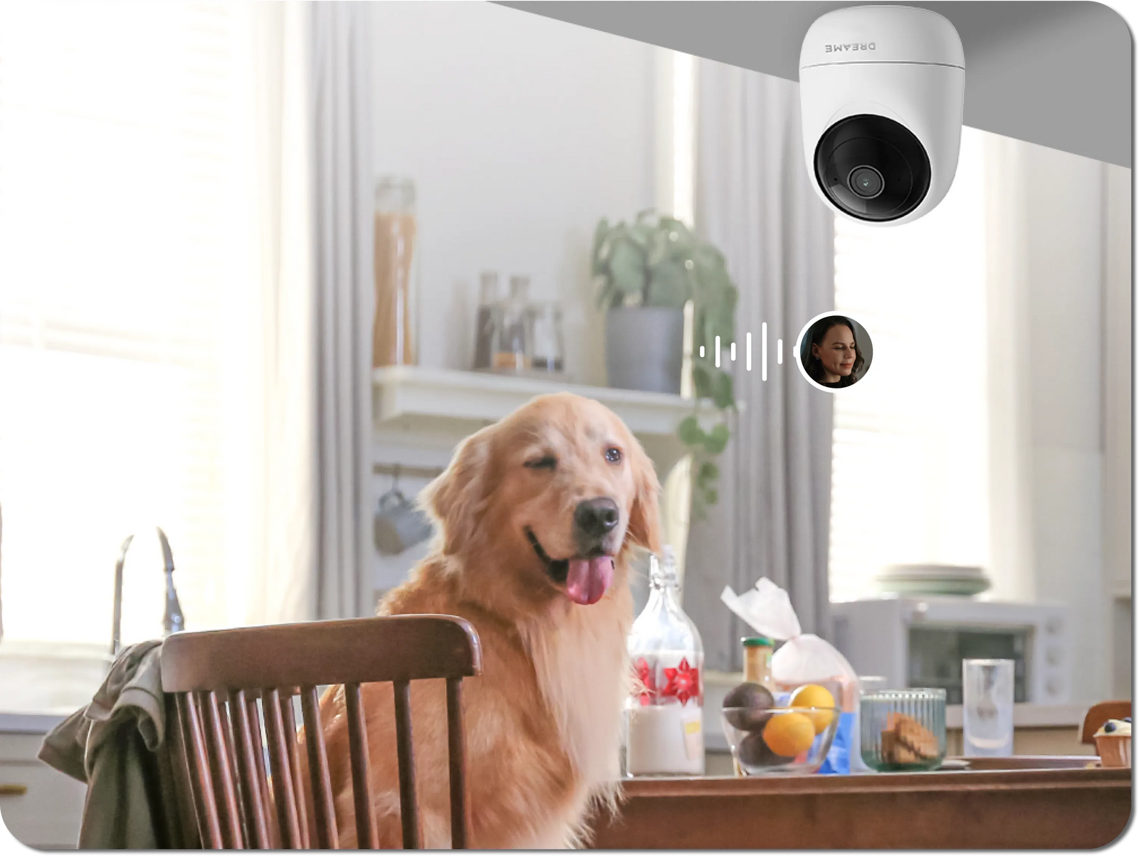 Dreame NAVO Care SE 1 InCam tweerichtingsaudio spreekt op afstand hond op keukentafel aan in realtime