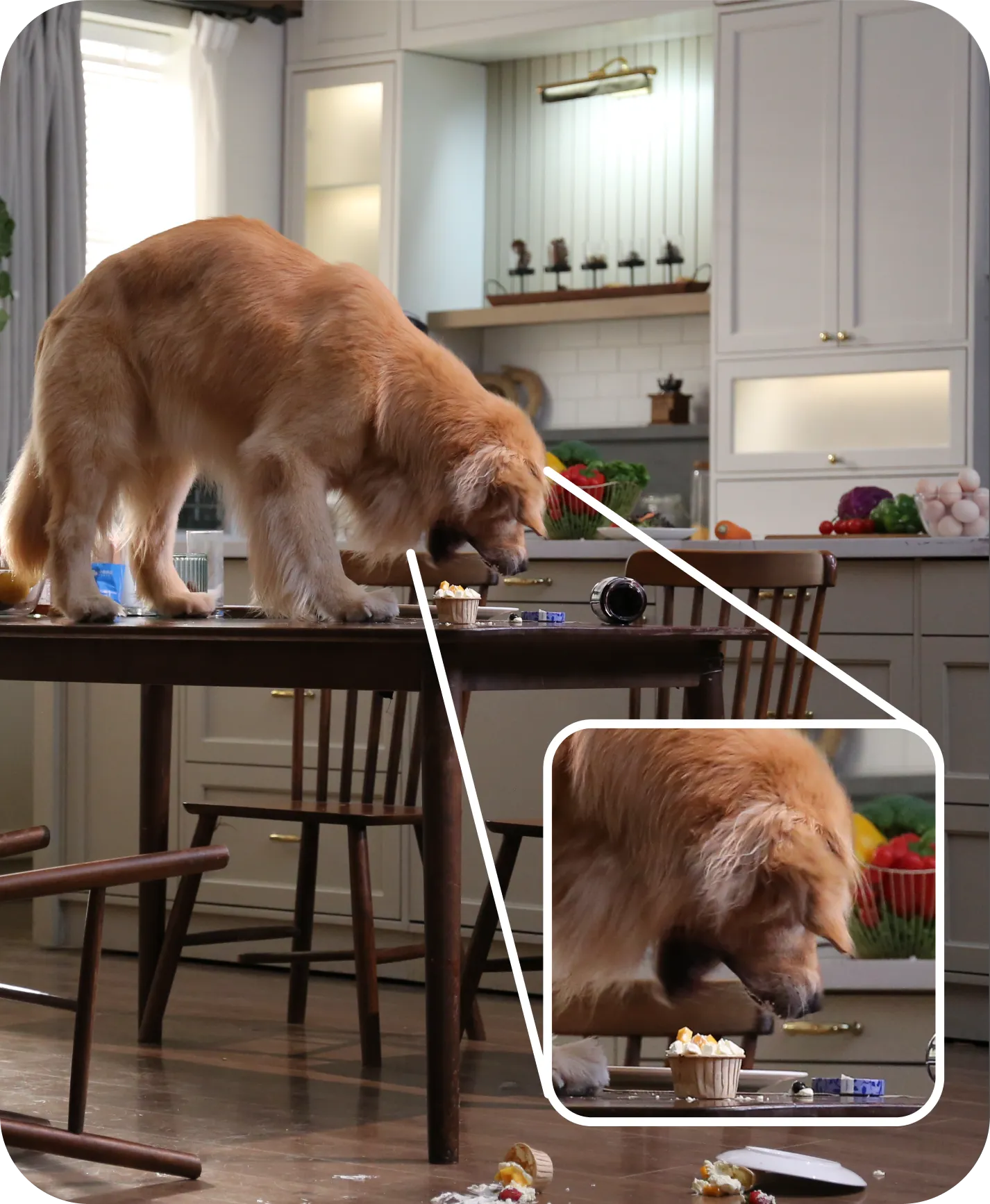 Dreame NAVO Care 1 InCam 2K-dagopname van hond op eettafel met 16x zoom-inzet voor scherpe beelddetails